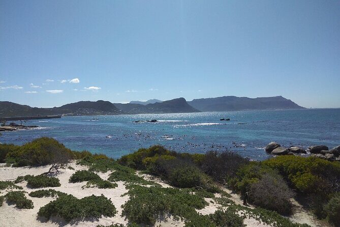 Private Day tour of the Cape. Our reviews show why people book! - Chapmans Peak Drive: the 9-kilometer wow factor
