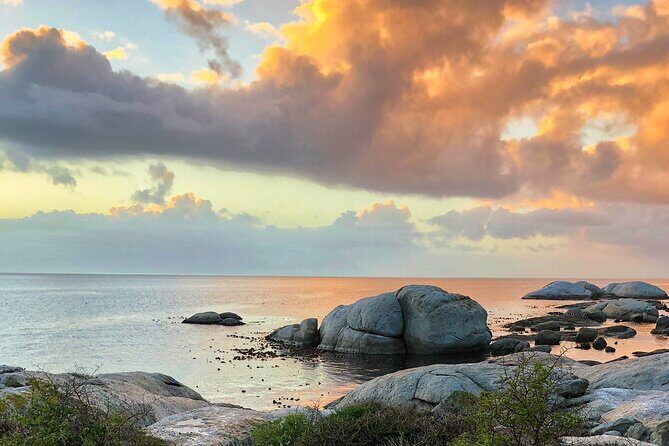 Private Day tour of the Cape. Our reviews show why people book! - What you really get for the price