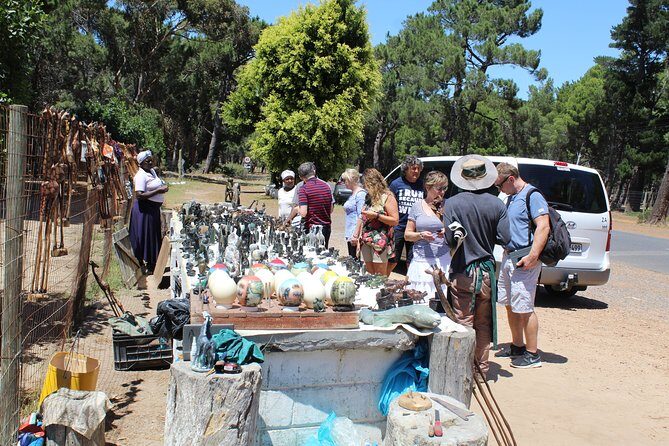Private Day Tour to Cape of Good Hope Penguins Inc Entry Tickets from Cape Town - Getting from Cape Town to the Tip: why this route works