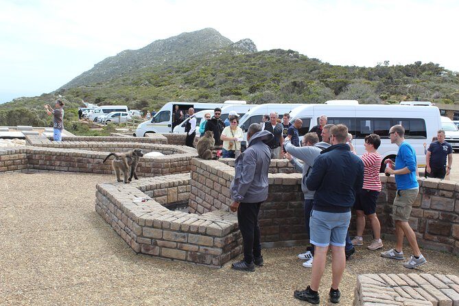 Private Day Tour to Cape of Good Hope Penguins Inc Entry Tickets from Cape Town - Cape Point Nature Reserve: funicular to the lighthouse and bird-and-plant time