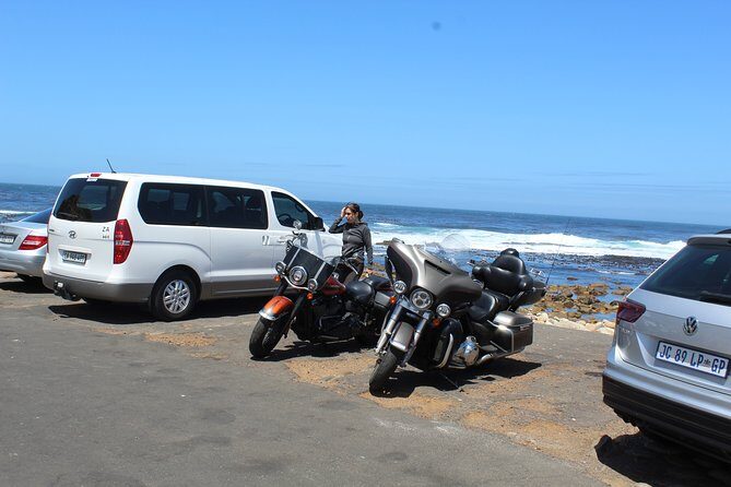 Private Day Tour to Cape of Good Hope Penguins Inc Entry Tickets from Cape Town - Cape of Good Hope: seals, cormorants, and that sign you came for
