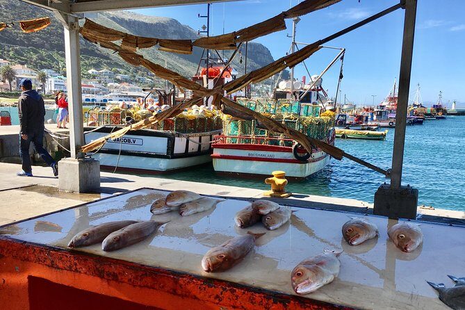 Private Day Tour to Cape Point , Penguins, Wine or Beer Tasting - Hout Bay, Noordhoek, and Long Beach: fishing harbor to surfer stretch