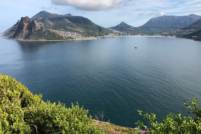 Private Day Tour to Cape Point , Penguins, Wine or Beer Tasting - Cape Point funicular, ostrich farm, and the lighthouse stairs