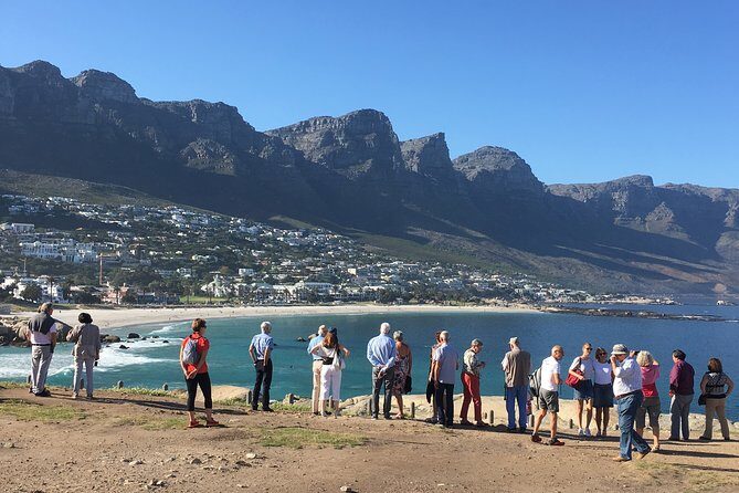 Private day tour to the Cape of Good Hope - Key highlights before you go