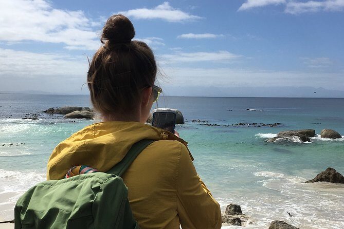 Private day tour to the Cape of Good Hope - Private pickup and a practical, road-focused route