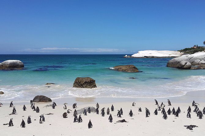 Private day tour to the Cape of Good Hope - Cape of Good Hope sign: the quick photo that people remember