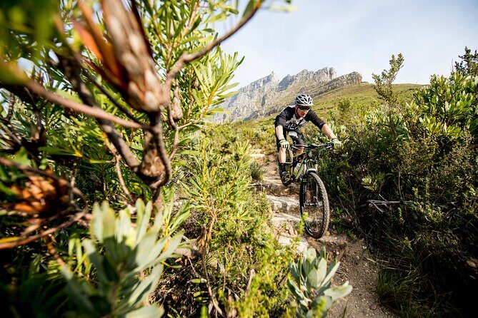 Private E-Bike Cape Town MTB Trails with a Pro - The meeting point and first minutes matter more than you think