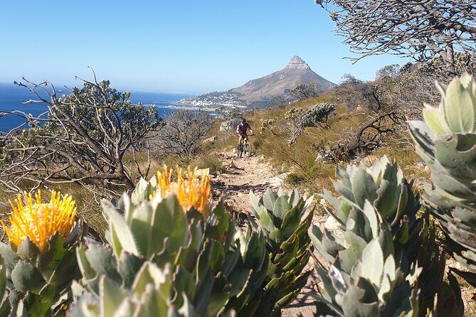 Private E-Bike Cape Town MTB Trails with a Pro - Who this tour is best for (and who should rethink it)