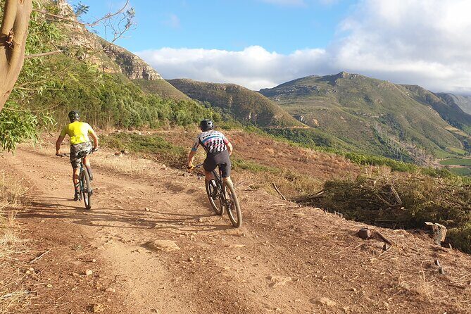 Private E-Bike Cape Town MTB Trails with a Pro - The e-bike: why a dual-suspension trail bike changes the ride