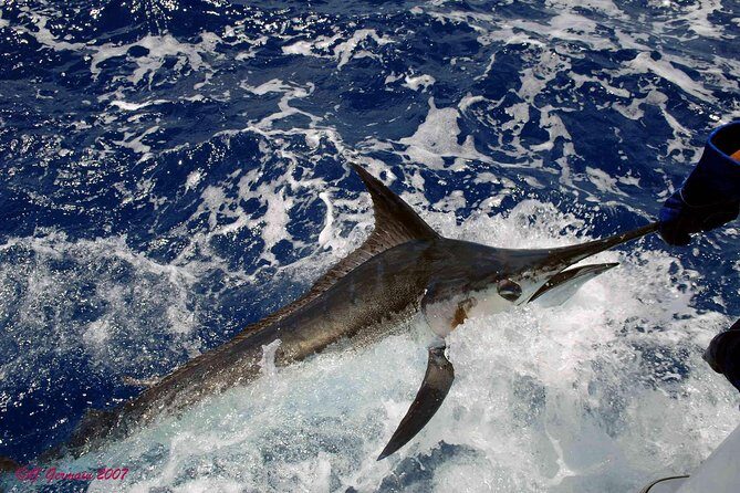 Private Fishing in St Lucia Charters - Gear, Lures, and Lines: Shimano and Penn Without Extra Hassle