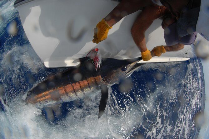 Private Fishing in St Lucia Charters - Timing, Duration, and What Realistically Happens on Fishing Days