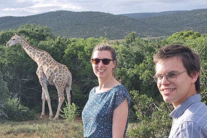 Private Full-Day Addo Elephant Park & Giraffe Walk - Key highlights to plan for