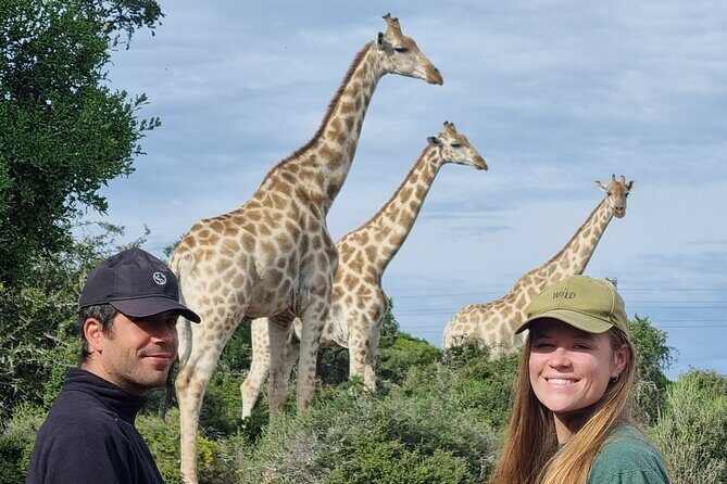 Private Full-Day Addo Elephant Park & Giraffe Walk - Entering Addo Elephant National Park for Big Five–style wildlife viewing