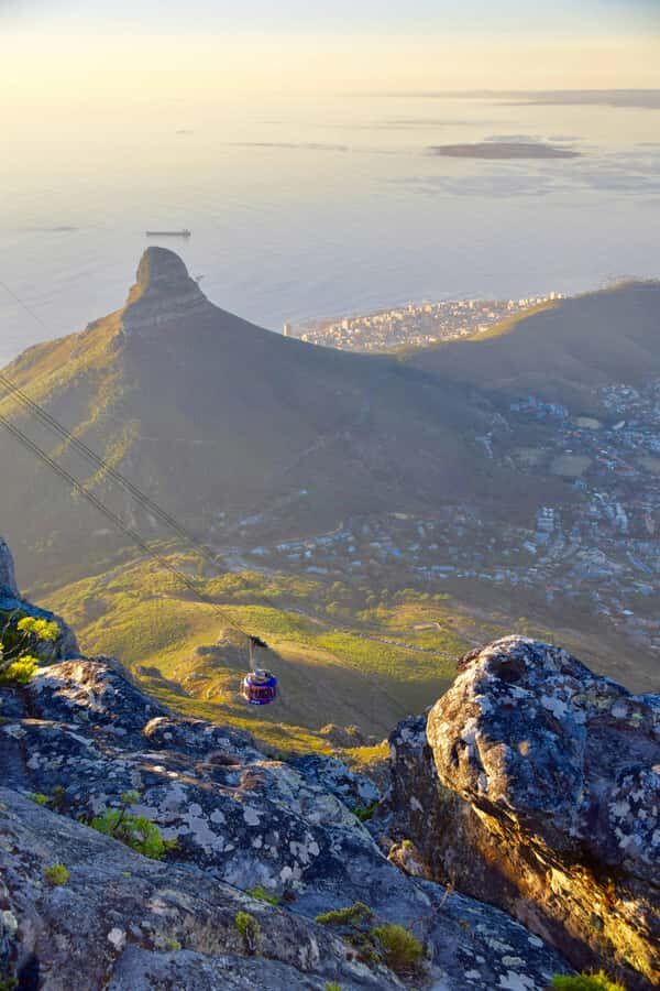 PRIVATE FULL DAY CAPE PENINSULA TOUR - A Private Nine-Plus-Hour Cape Peninsula Loop