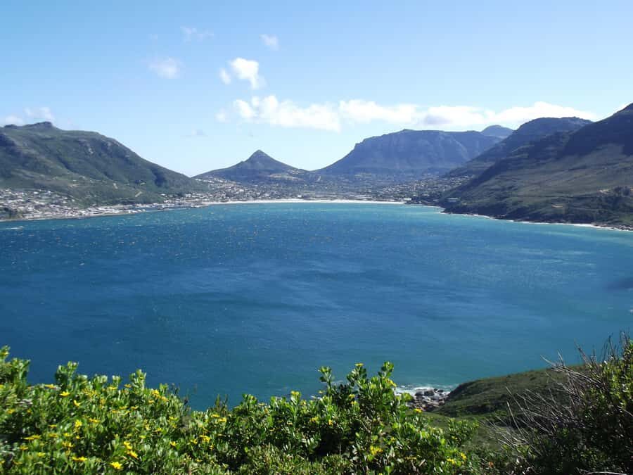 PRIVATE FULL DAY CAPE PENINSULA TOUR - Who Should Book This Tour, and Who Might Want a Different Plan?