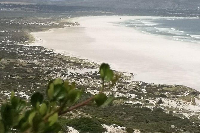 Private Full Day Cape Town City Scenic and Table Mountain Tour. - Signal Hill: A Short Stop That Gives You the Big Picture