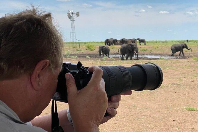 Private Full Day Safari (10 hours) in Kruger National Park - Price and value: is $172.25 per person fair?