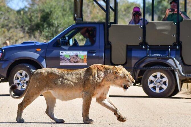 Private Full Day Safari l Kruger National Park from Hazyview or Skukuza - Key things to know before you go
