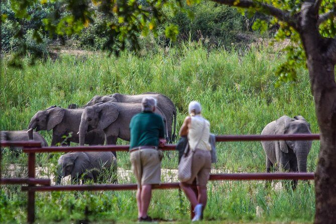 Private Full Day Safari l Kruger National Park from Hazyview or Skukuza - The Parks Shop comfort stop: what it means for meals and pacing
