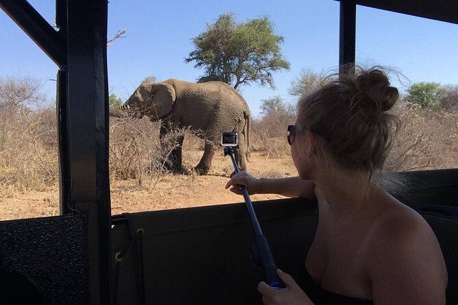 Private Full Day Safari l Kruger National Park from Hazyview or Skukuza - Price and real value: what $454.36 per group means for your budget