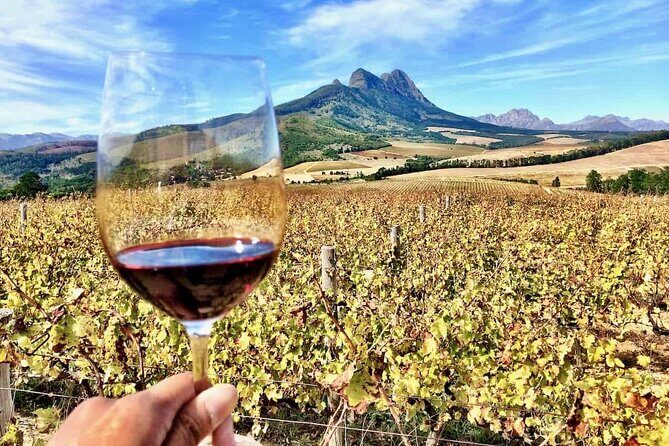 Private Full Day Stellenbosch Wine Tour - Delaire Graff Estate: A Short Visit With Big-Setting Energy
