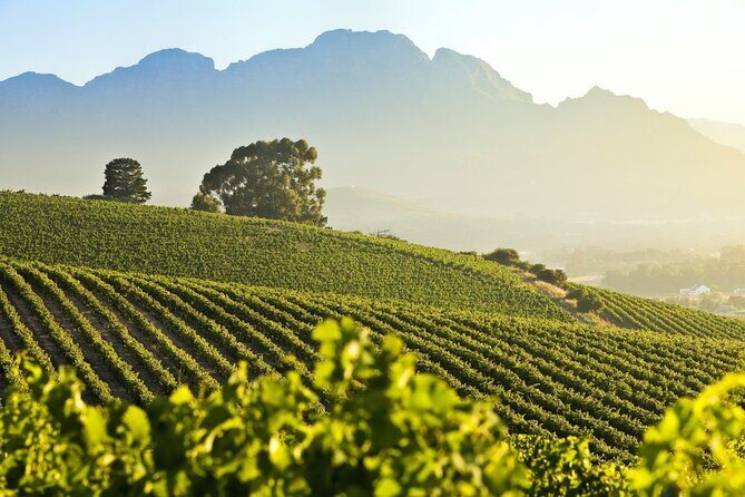 Private Full Day Stellenbosch Wine Tour - Stellenbosch Walk Time: Dorp Street and De Braak Street