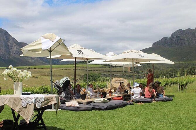 Private Full Day Stellenbosch Wine Tour - What You’ll Actually Pay For: Tastings vs. Entry Fees