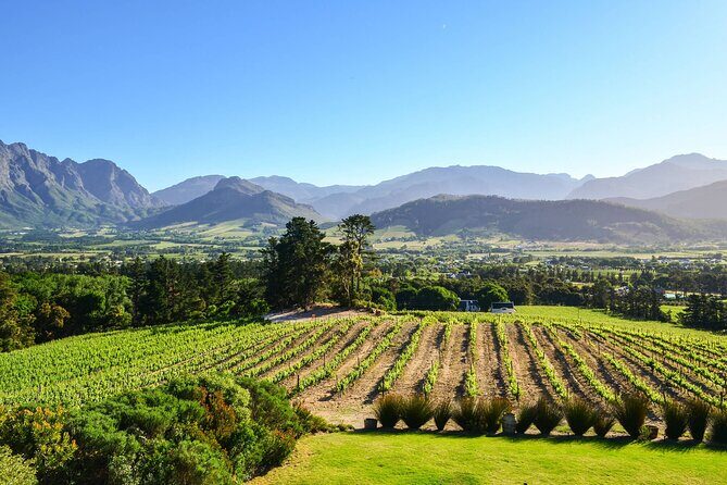 Private Full Day Stellenbosch Wine Tour - Rust en Vrede Tasting Room: Where the Red-Wine Focus Shows
