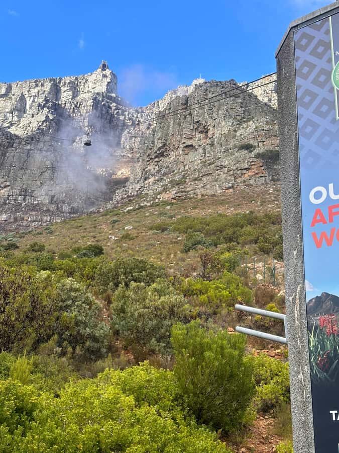 Private Full Day Tour to Robben Island and Table Mountain - Price and value: is $169 a good deal for this route?