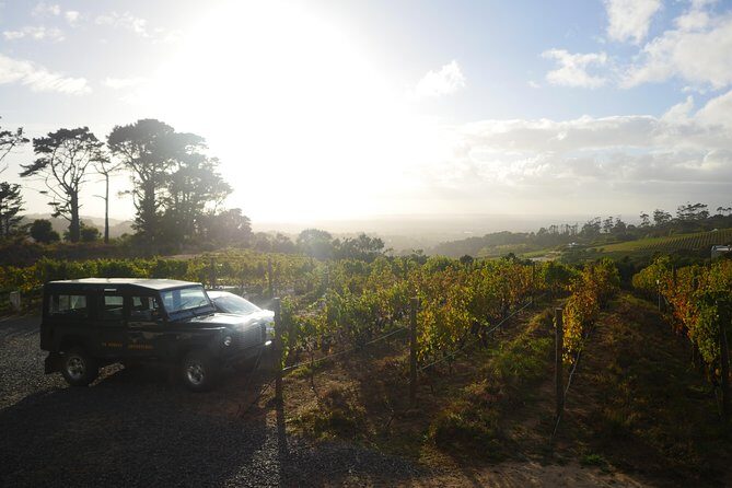 Private: Full Day Ultra-Premium Wine Tour from Cape Town to Constantia - Quick Key Points to Know