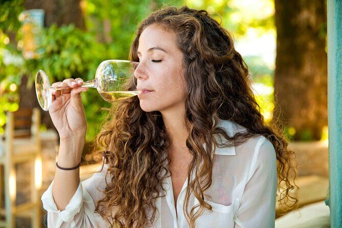 Private Full Day Wine Tour in Cape Town - How the day flows: private pickup, an 8-hour schedule, and real time to taste