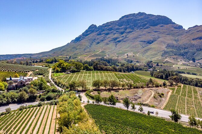 Private Full Day Wine Tour in Cape Town - Stellenbosch on foot: Cape Dutch streets and winemaking vibes in an hour