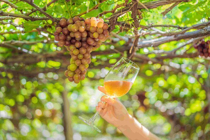 Private Full Day Wine Tour in Cape Town - Delheim and lunch: the longest stop where conversation matters