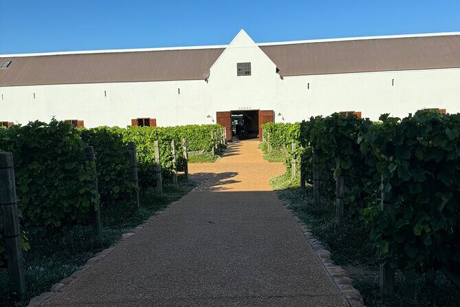 Private Full Day Wine Tour: Stellenbosch and Franschhoek & Paarl - Stellenbosch: The Old Wine Route and Town Energy