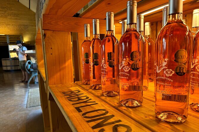 Private Full Day Wine Tour: Stellenbosch and Franschhoek & Paarl - Paarl: Terroir Talk, Mountain Views, and Pairings