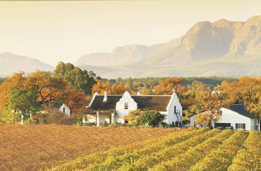 Private Full-Day Winelands Tour in Stellenbosch - How this private Winelands day is built for your schedule