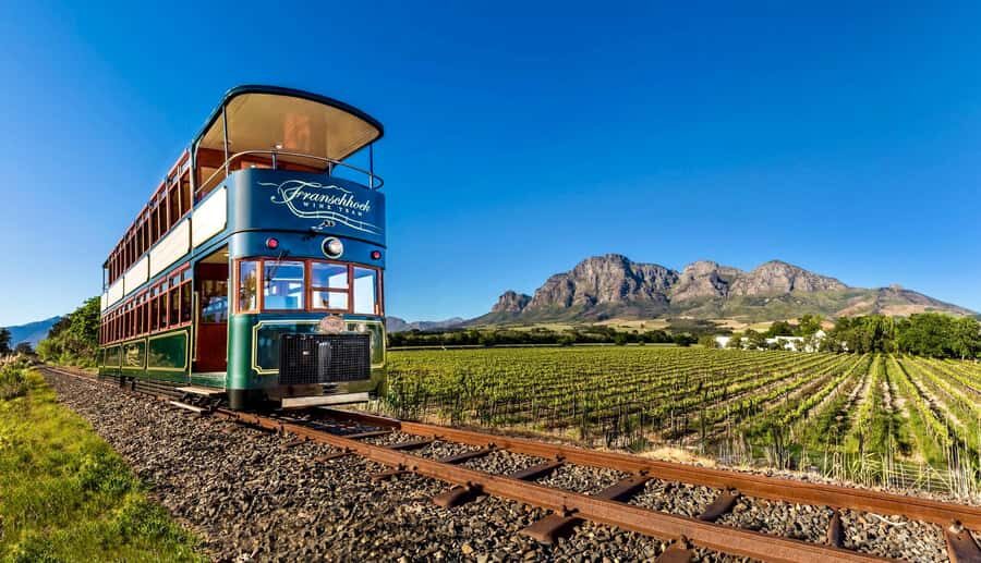 Private Full-Day Winelands Tour in Stellenbosch - What you learn about Chenin, Shiraz, Pinotage, and Methode Cap Classique