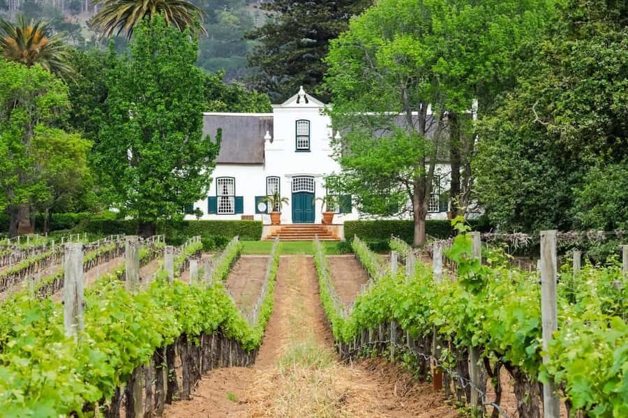 Private Full-Day Winelands Tour in Stellenbosch - Lunch planning: where to eat during your Franschhoek break