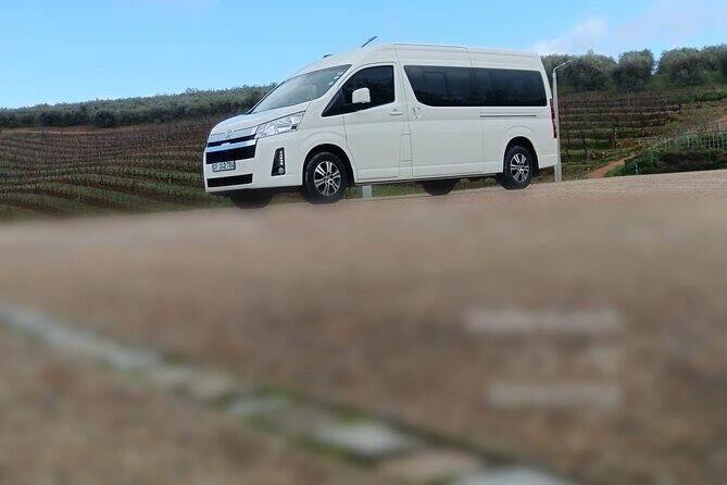 Private Group 4-13 passengers Cape Town Airport Transfers - A 13-seater luxury minivan for real luggage problems
