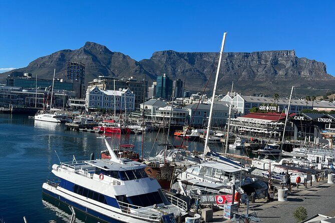 Private Guided Tour in Cape of Good Hope and Table Mountain - Table Mountain in one controlled hour