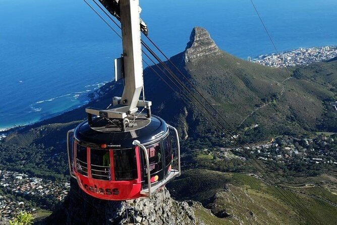 Private Guided Tour to Table Mountain and Cape Point with Penguin - Highlights You Should Know Before You Go