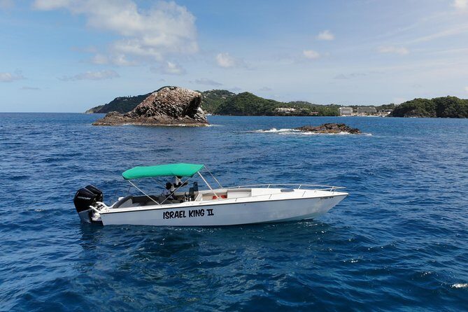 Private Half Day Charter: St Lucia Boat Tour to Soufriere - Morning or afternoon cruise: how to choose your best vibe