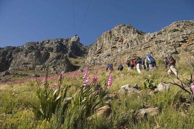 Private Hiking Tour of Table Mountain - Why this Table Mountain hike feels different from a quick viewpoint visit