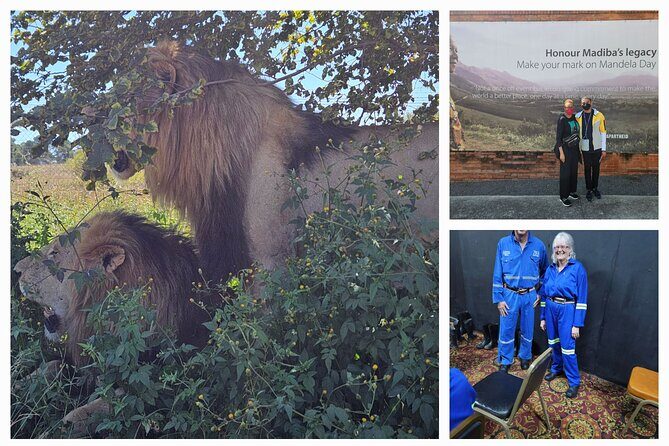 Private Johannesburg and Pretoria Tour - Price and value: what $85.42 per person really buys