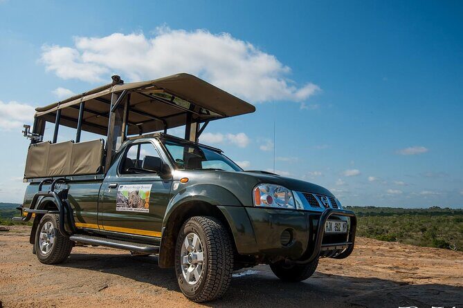 Private Morning Game Drive from Hazyview l Kruger National Park - Key things to know before you go