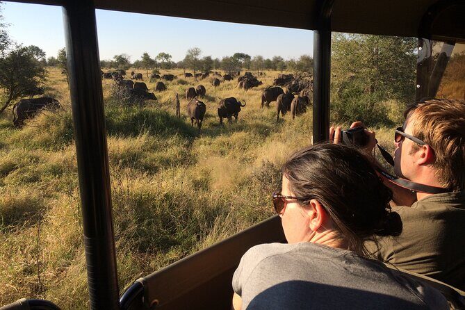 Private Morning Game Drive from Hazyview l Kruger National Park - Timing, weather, and what to pack for a cold start