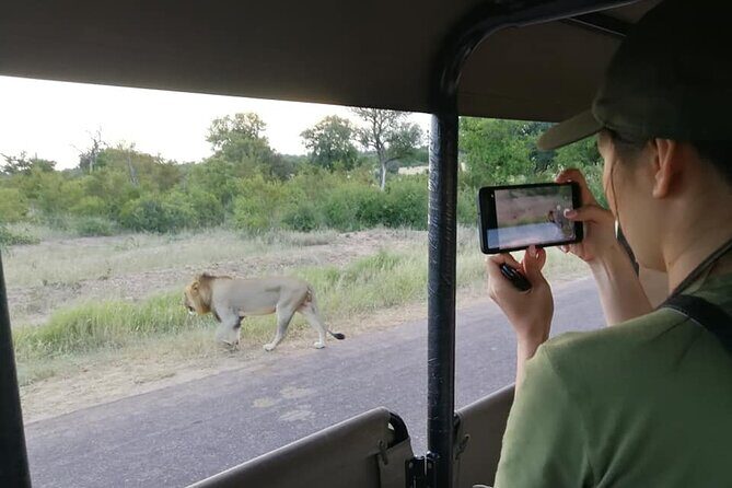 Private Morning Game Drive from Hazyview l Kruger National Park - How a morning guide finds animals (and keeps you engaged)