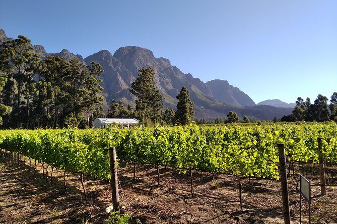 Private Package to Finest Vineyards - Stellenbosch pickup - The value equation: what $115.44 actually covers