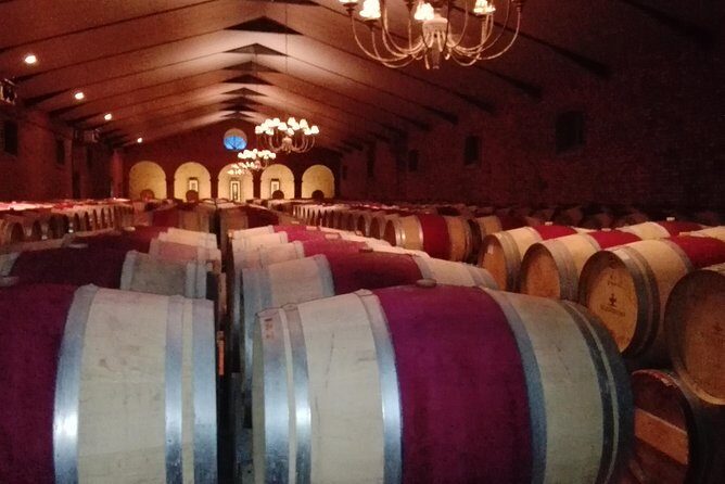 Private Package to Finest Vineyards - Stellenbosch pickup - Why this private Stellenbosch wine day feels different from bus tours
