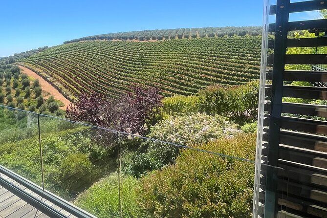 Private/Personalized Full Day Wine Tasting Tour Cape Winelands - Price and value: what $202.01 covers (and what you must budget for)